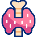 Endocrine Cancer Management